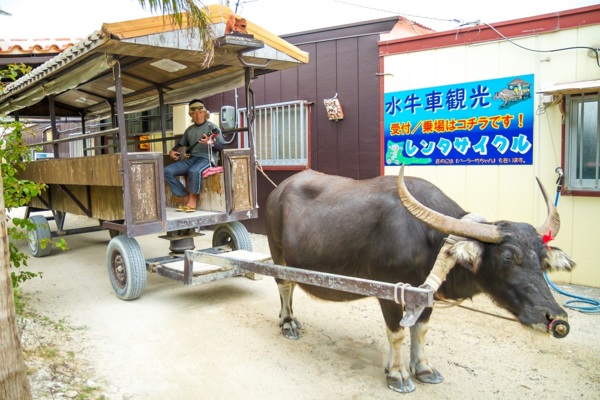 日本沖繩第一間台灣駐點旅遊渡假旅宿，全程旅遊配給專屬華語環島司機，帶您享受日本沖繩石垣島入口即化的石垣牛肉、川平灣蔚藍珊瑚海景！日本沖繩琉球旅遊就選－和昇清風會館。