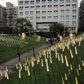 2023台灣燈會在台北---四四南村