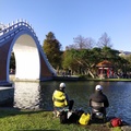 台北大湖公園~冬陽&落羽松