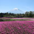 富士山的身影