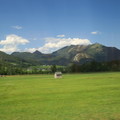 阿爾卑斯綠草坡