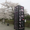鶴城飄零的櫻花