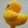 黃色小鴨