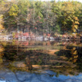 Walden Pond 1