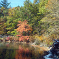 Walden Pond 2