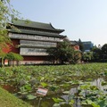 台北植物園與台北賓館
