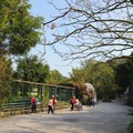 木柵動物園