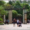 2019新加坡植物園