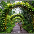 2019新加坡植物園