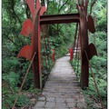 竹子湖吊橋