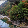 日本東北行/田澤湖與抱返溪谷