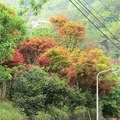 台北自然景觀
