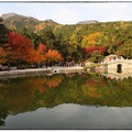 金秋遊北京～香山公園