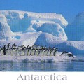 南極洲