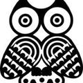 Owl 貓頭鷹