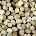Anzac Day  製作食物調味料的白罌粟籽