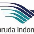 Garuda 印尼航空