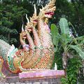 Garuda 泰國清邁的雙龍寺  2