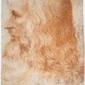 Leonardo 畫像