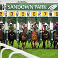 Sandown Racecourse  7