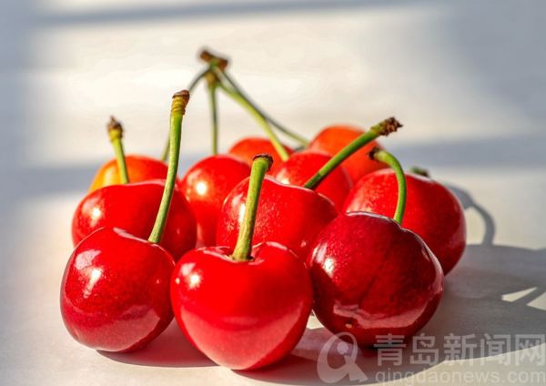 樱桃唱罢樱珠登场 口感虽不同都是一样的靓 - 邾游天下 - udn部落格