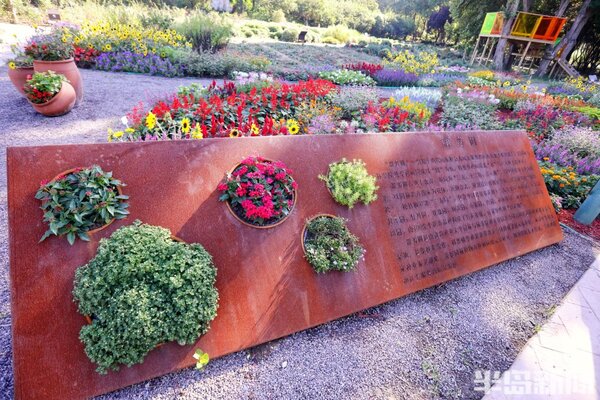 青島農業大學內鮮花盛放,一步一景美景如畫, 邾游天下 udn部落格