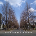 北海道大學校園美景