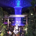 Jewel Changi Airport Rain Vortex 16