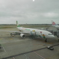 飛往福岡機場的hello kitty彩繪班機