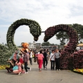 2014台中國際花毯節