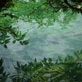 Plitvice Lakes National Park Upper Lakes