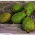 仙人掌果, cactus fruit, prickly pear