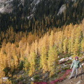 Me among subalpine larches on Cutthroat Pass Trail, October 04, 2023