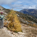 Me on Cutthroat Pass with a golden larch, October 04, 2023