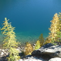 Blue Lake subalpine larches
高山黃金落葉松