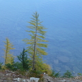 Blue Lake subalpine larches
高山黃金落葉松
