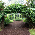 Botanic Garden - 1