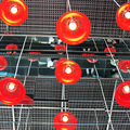 2010上海世博香港館