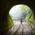 阿里山鐵道:奮起湖至多林