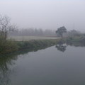 池邊的霧