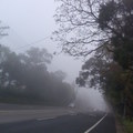 山上馬路的霧
