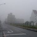 市區街道的霧