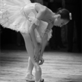 【芭蕾】用脚尖踮出最美丽的芳华