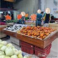 新北-(永和)永貞路水果家族