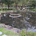 北市-(大安)大安森林公園