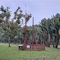 北市-(大安)大安森林公園