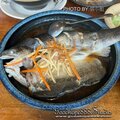 苗栗-(南庄)民族街老金龍飯店