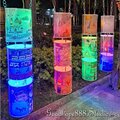 新北-(永和)仁愛公園-2024永和燈會-燈