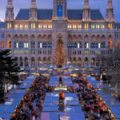 維也納市政大樓及聖誕節市集 2012