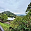 0210三層北投官花張吳記